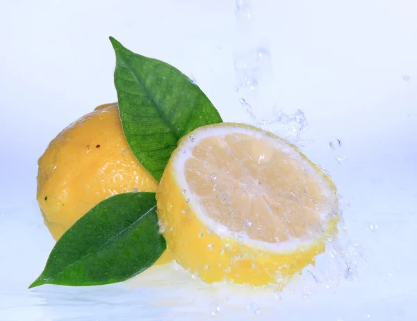 Fresh citrus — Zdjęcie stockowe