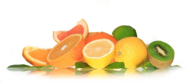 Verse citrusvruchten — Stockfoto