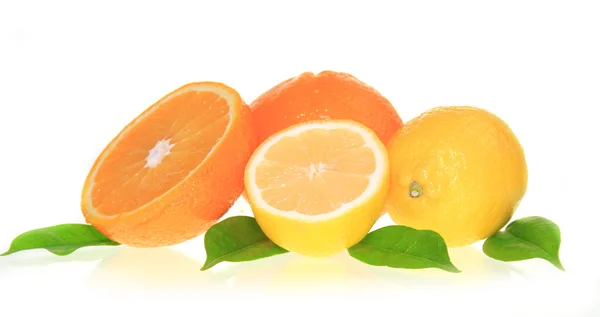 Färsk citrus — Stockfoto