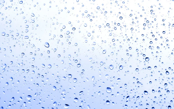 Rain water drops — Stock Photo, Image