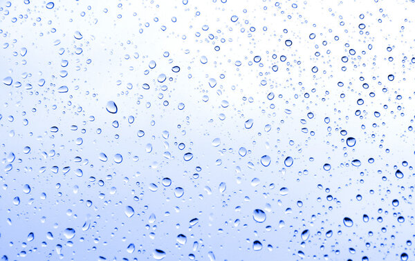 Rain water drops
