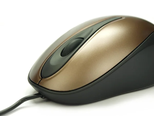 Beyaz arkaplanda bilgisayar faresi — Stok fotoğraf