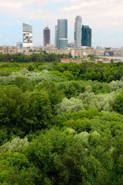 stock image Business center and the trees