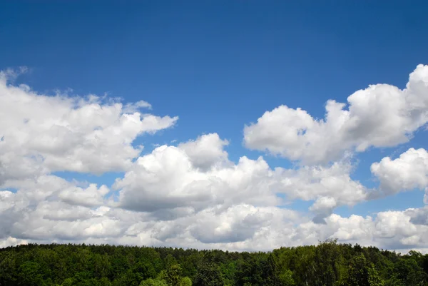 Skogen och moln — Stockfoto
