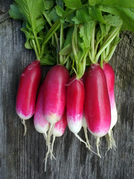 Bunch of fresh radishes on a wooden background — Stock Photo, Image