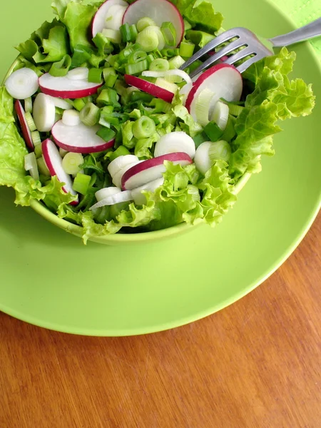 Čerstvý salát s ředkvičky, hlávkový salát a cibulkou — Stock fotografie