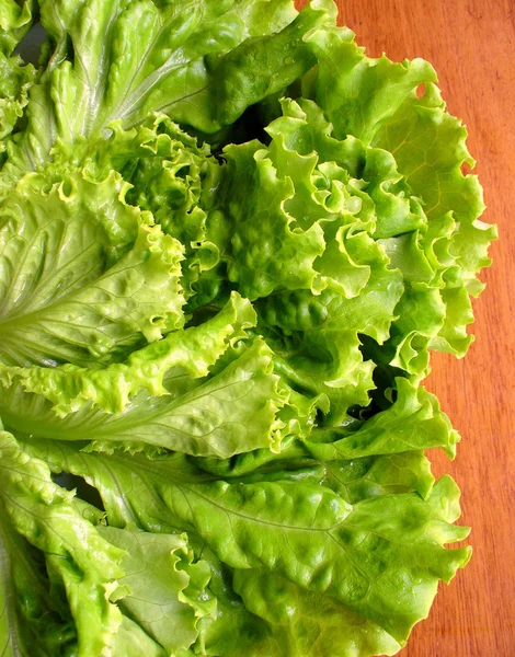 Bir tablo üzerinde taze yeşil salata — Stok fotoğraf