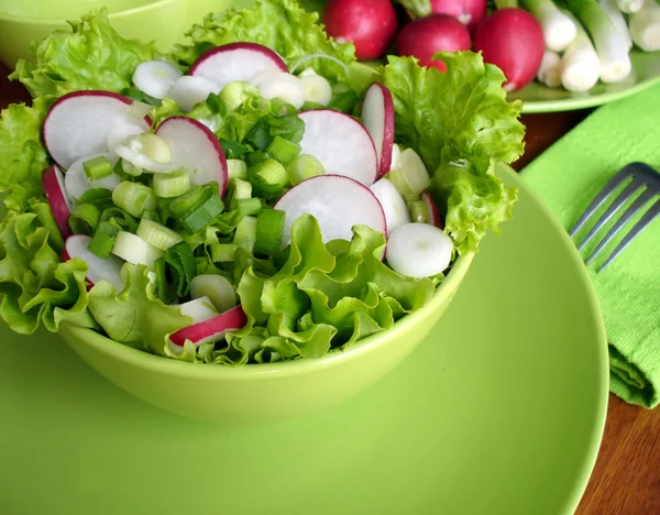 Frischer Salat mit Radieschen, Salat und Zwiebeln — Stockfoto