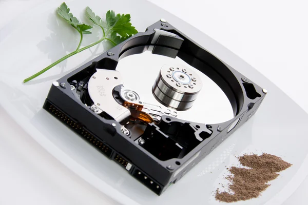 stock image Hard disk on a dish