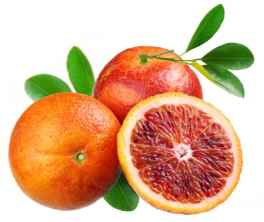 Blood red oranges clipart