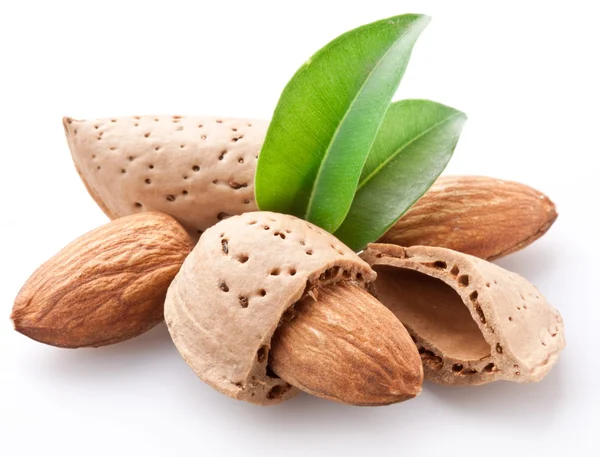 Group of almond nuts. — Stock Photo, Image