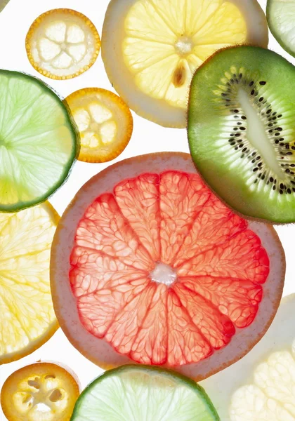 Zpět předpokládané citrusové řezy. — Stock fotografie