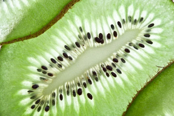Back projected kiwi slice. — Stock Photo, Image