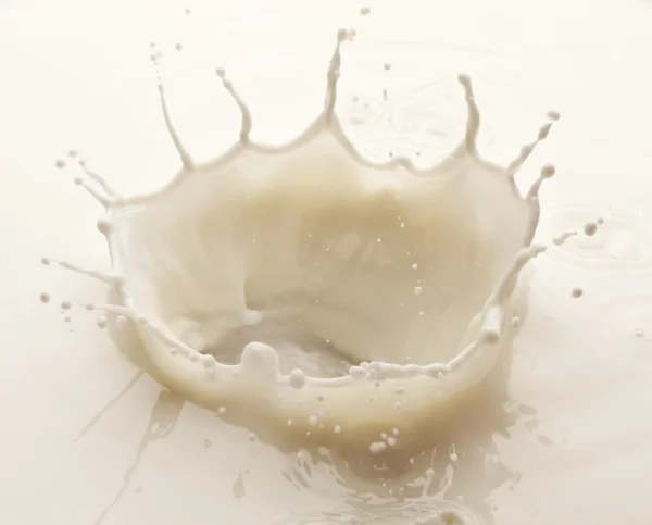 Всплеск молока — стоковое фото