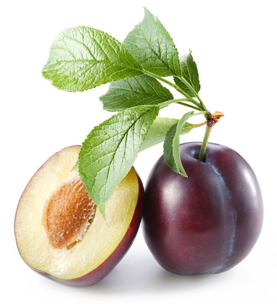 Ripe plums with leaves