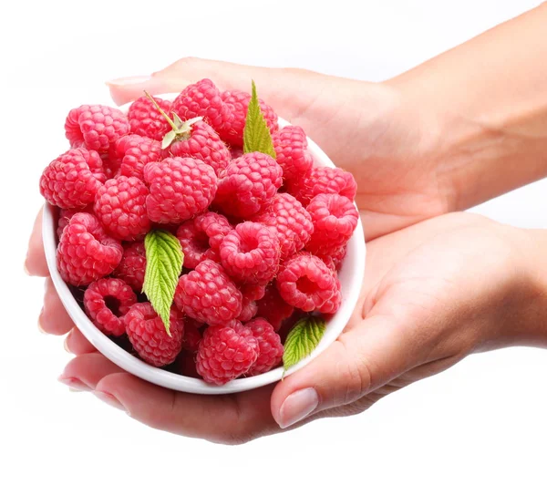 Crockery with raspberries in woman hands. — Stock Photo, Image