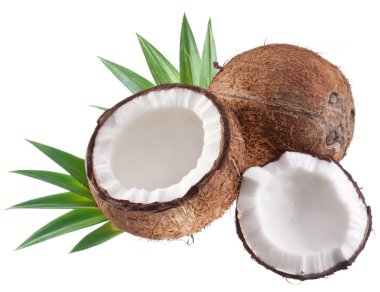 Coconuts on a white background. clipart