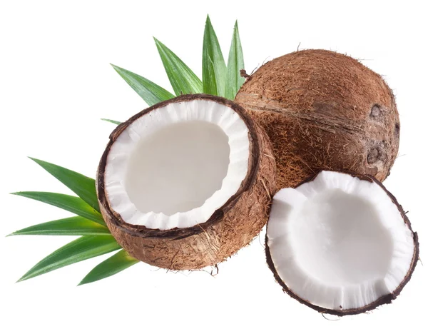 Kokosnoten op een witte achtergrond. — Stockfoto