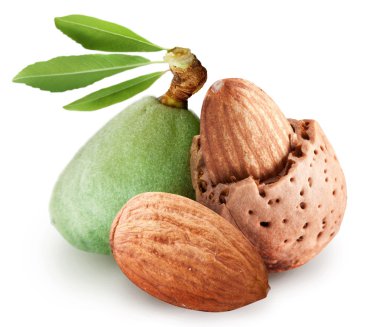 Group of almond nuts. clipart