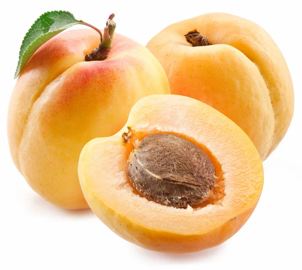 Aprikoser med blader – stockfoto