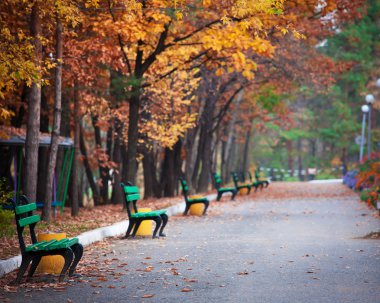 Şehir Parkı içinde ağaçlar