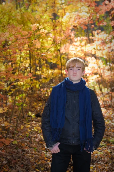 stock image Active beautiful boy in the autumn forest