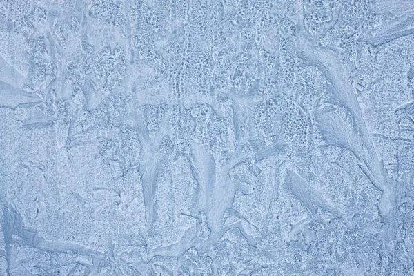 stock image Frost flowers on the glass