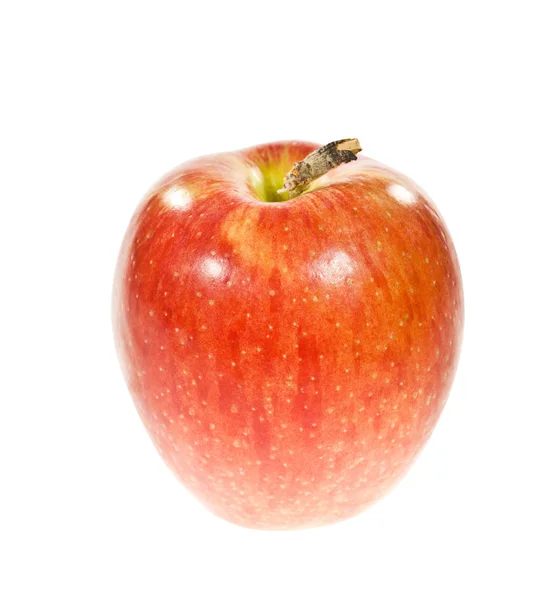 Rode appel op een wit — Stockfoto