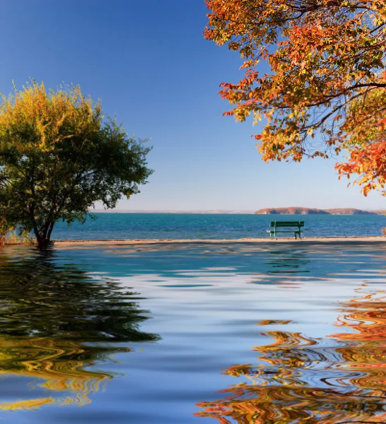 Gölün güzel ağaç — Stok fotoğraf