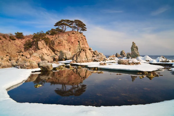 Пейзаж с отражением растущего дерева в море с — стоковое фото