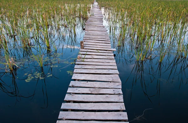 Gün batımında çim ile güzel göl — Stok fotoğraf