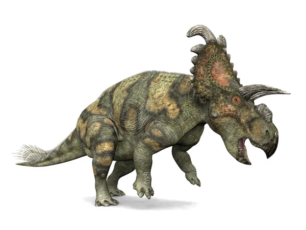Albertaceratops — Foto Stock