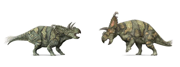 Albertaceratops — стокове фото