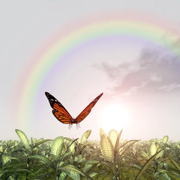 Landscape with Rainbow and Butterfly — Stock Photo, Image