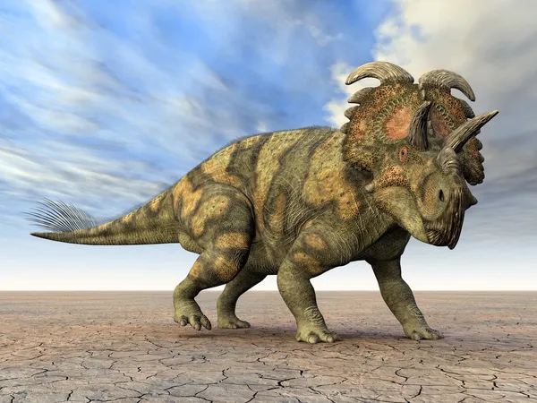 Albertaceratops lizenzfreie Stockbilder