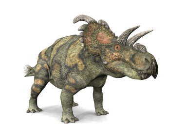 Dinosaur Albertaceratops clipart
