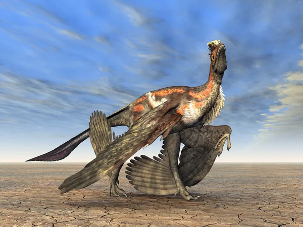 恐龙 microraptor — Φωτογραφία Αρχείου