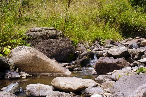 stock image Forest waterfall