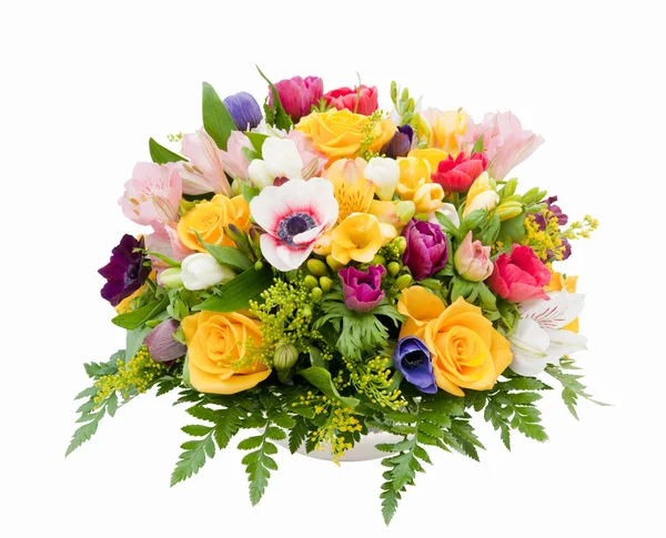Spring flower assortment — Stock Photo, Image