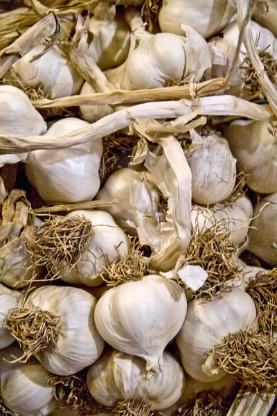 Dry Garlics — Stock Photo, Image