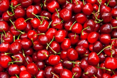 Fresh Organic Red Cherries clipart