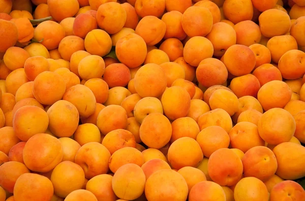 Čerstvé bio meruňky — Stock fotografie