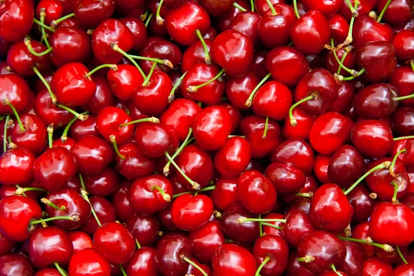 stock image Fresh Organic Red Cherries