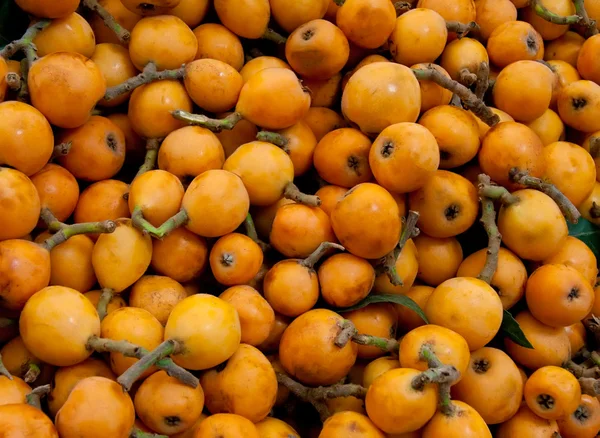 신선한 유기농 loquats — 스톡 사진