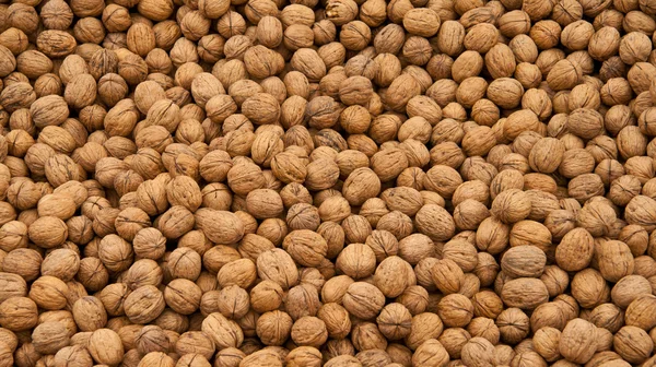 stock image Whole Walnut Background