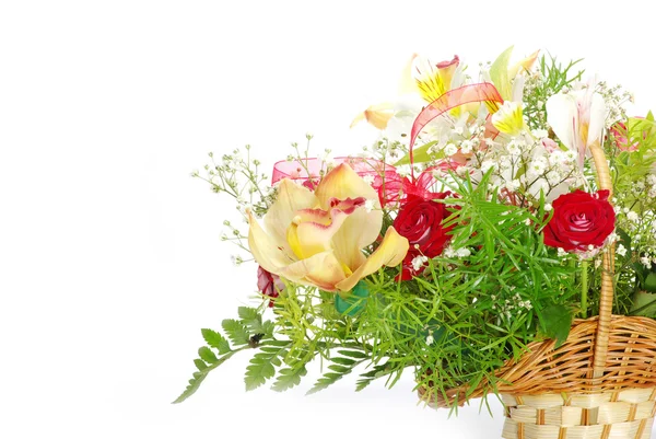 Flowers — Stock Photo, Image