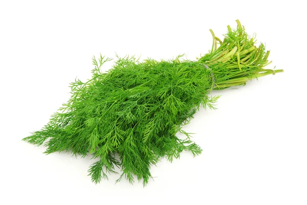 Dill on white — Stock Photo, Image