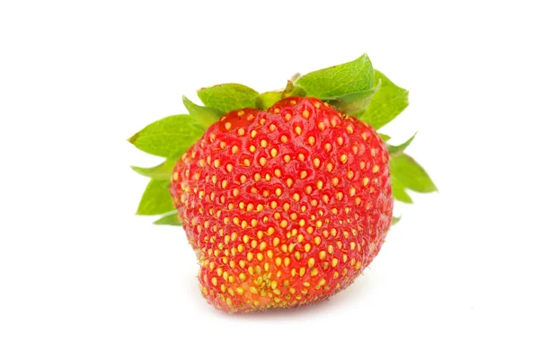 stock image Strawberry on white