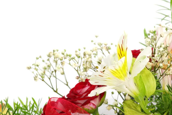 Blumen auf weißem Grund — Stockfoto