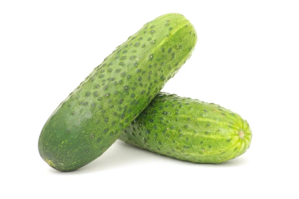 stock image Cucumber